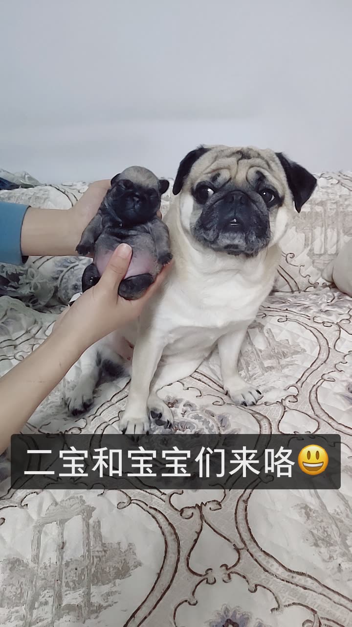 二宝和宝宝们来咯😃