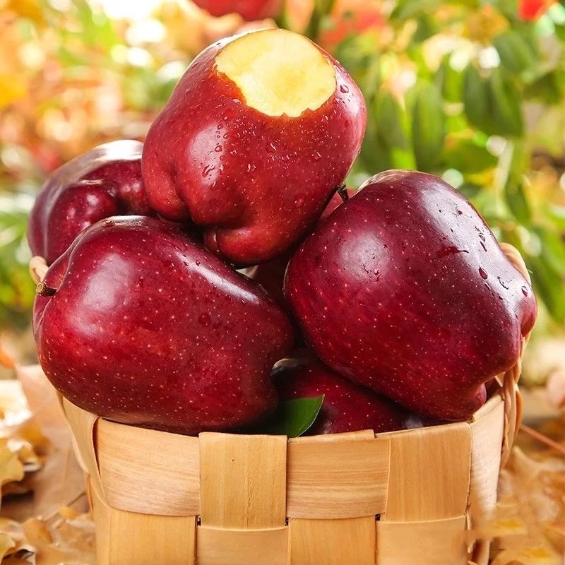 天水花牛苹果商品详情页