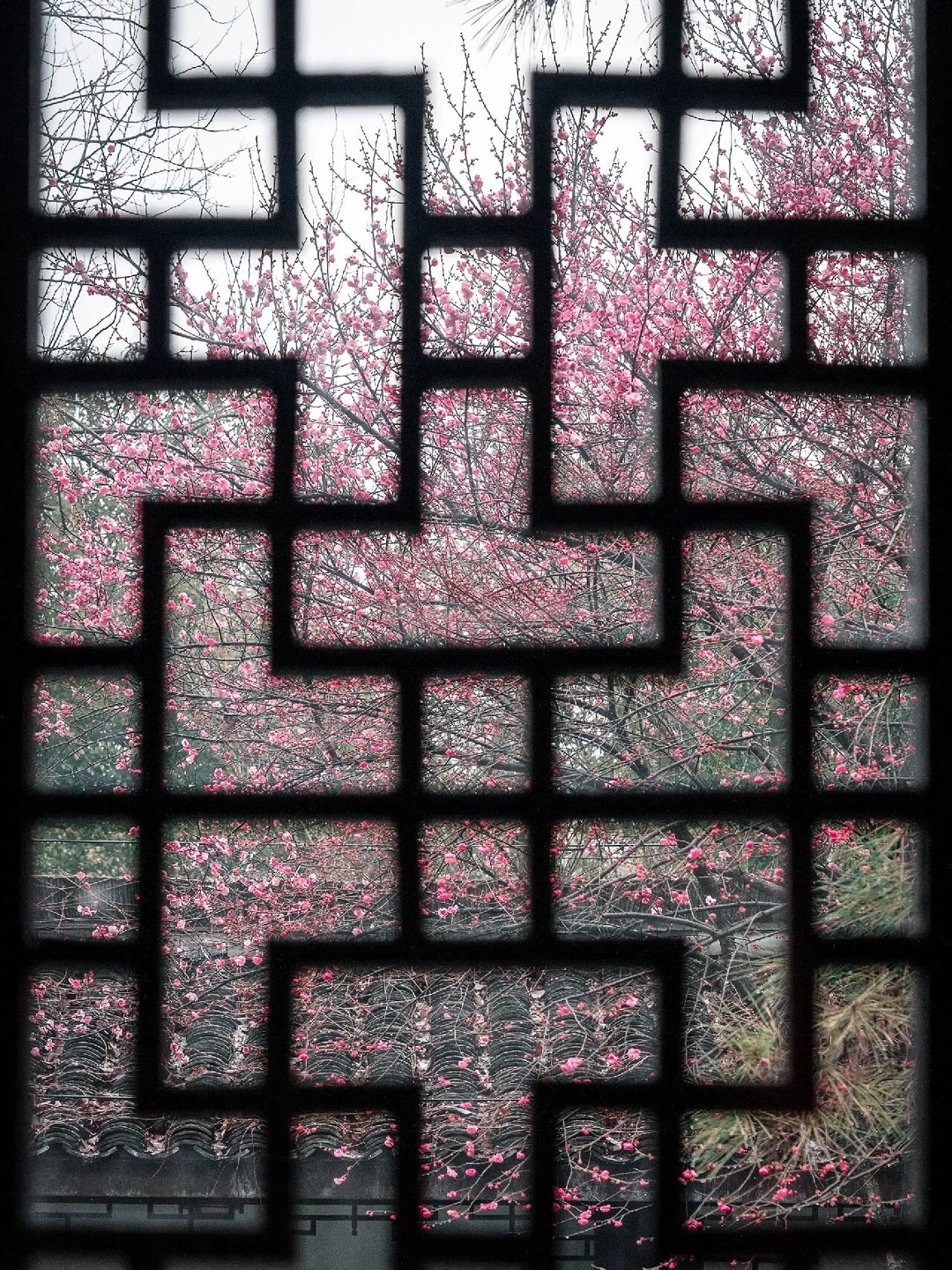 图片名称2-选填