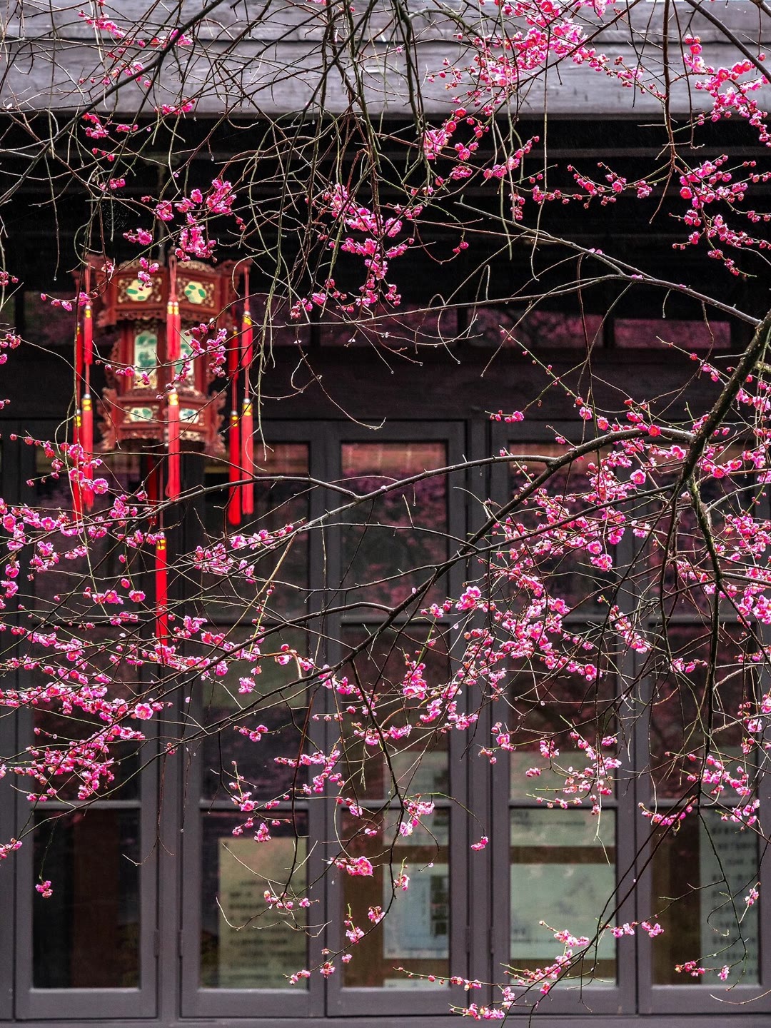 图片名称3-选填