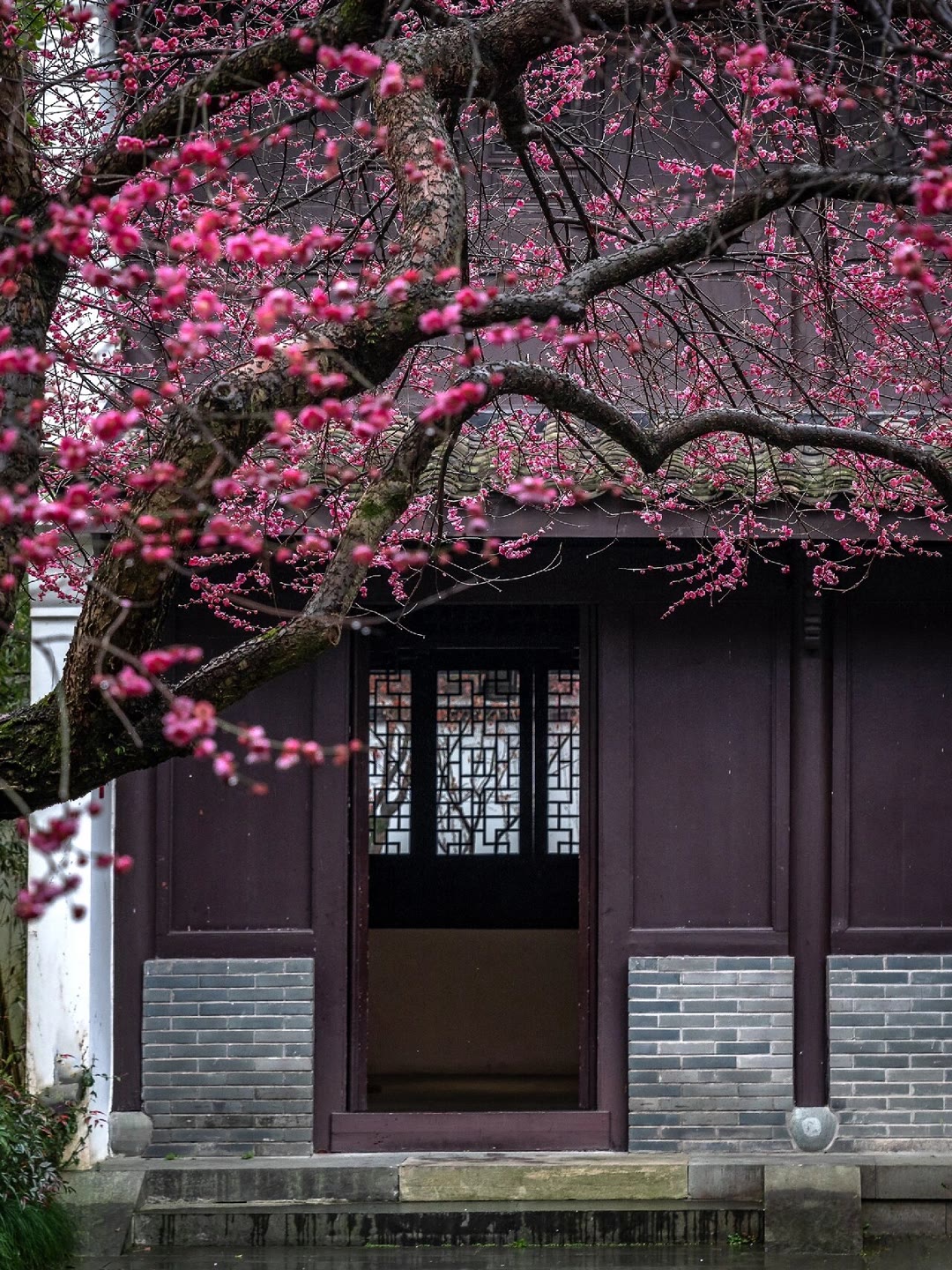 图片名称3-选填