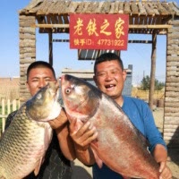 铁蛋二哥 老铁之家