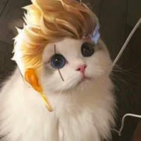 头像
